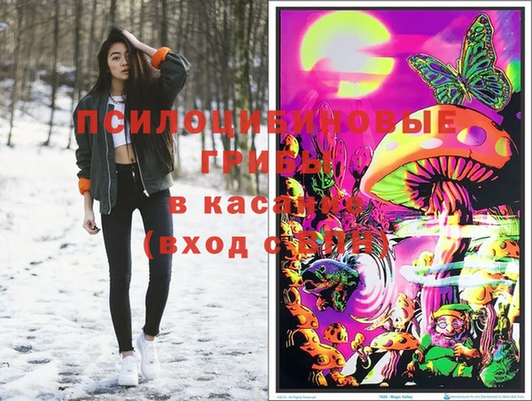 метадон Пересвет