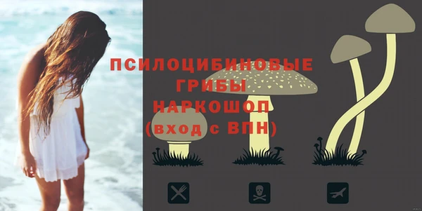 гидропоника Переславль-Залесский