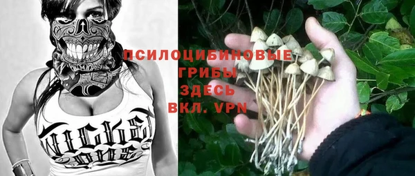 гидропоника Переславль-Залесский