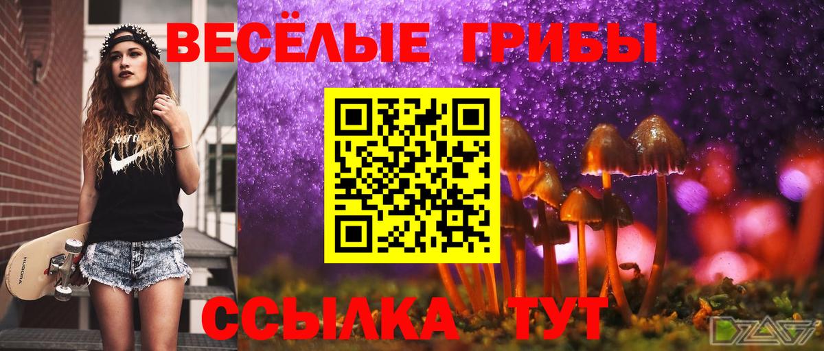 Галлюциногенные грибы Psilocybine cubensis  Усолье-Сибирское  Галлюциногенные грибы мицелий 