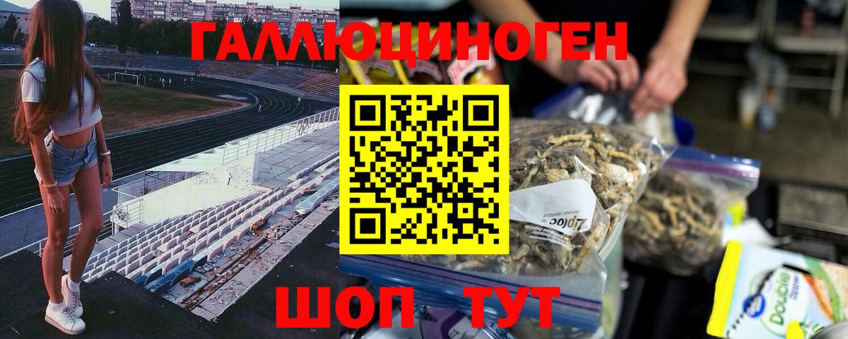 Псилоцибиновые грибы Cubensis Усолье-Сибирское