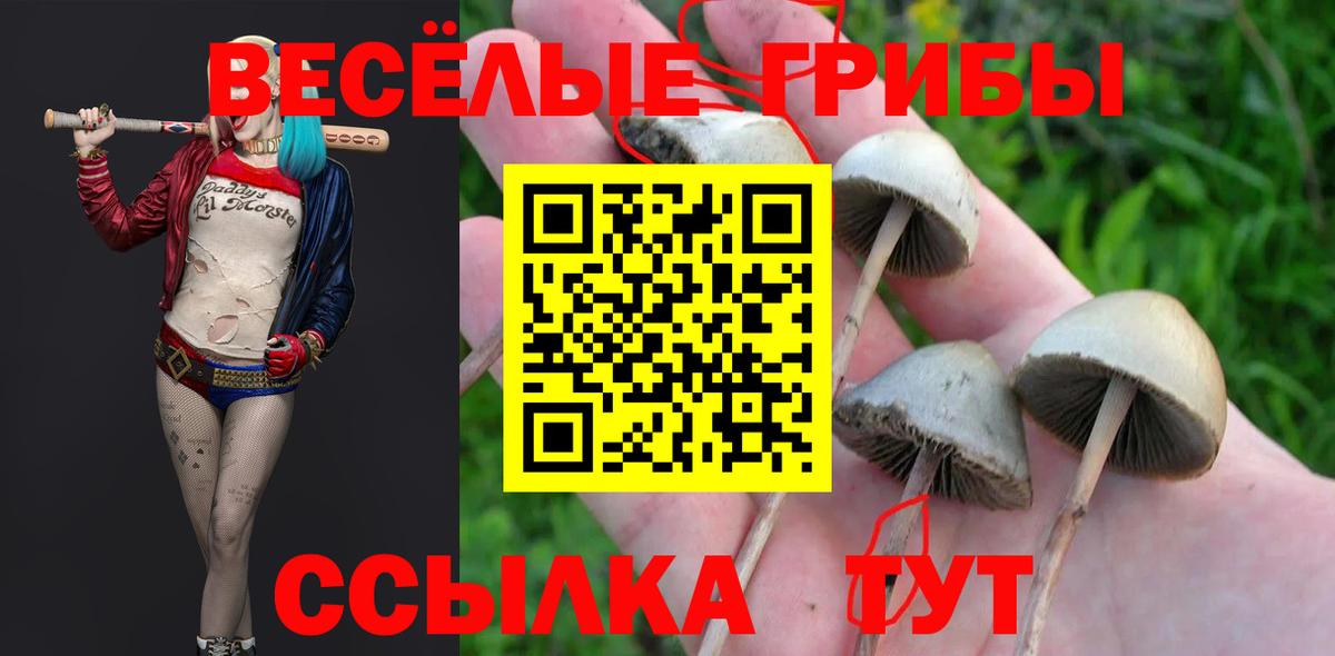 Усолье-Сибирское  закладка  Вход с VPN  Псилоцибиновые грибы MAGIC MUSHROOMS 